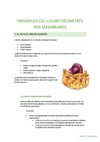 U8-organuls-delimitats-per-membranes.pdf