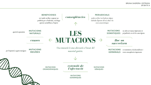 U11-mutacions.pdf