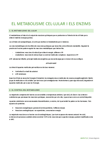 U13-el-metabolisme-i-els-enzims.pdf