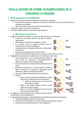 Tema-8.1-Metodos-de-estudio-en-macroevolucion.-De-la-especiacion-a-la-filogenia.pdf