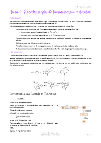 Tema-2-Apuntes-TIB-analitica.pdf