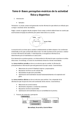 Tema 6- Bases perceptivo-motrices de la actividad física y deportiva.pdf