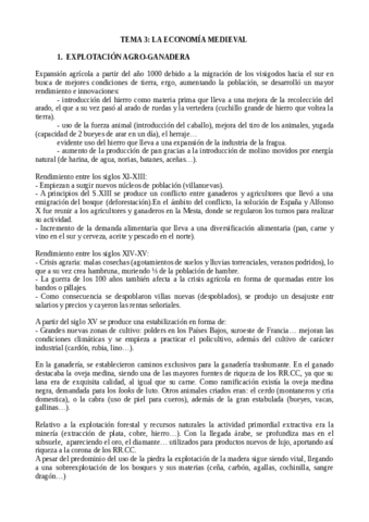TEMA-3-H.MEDIEVAL.pdf