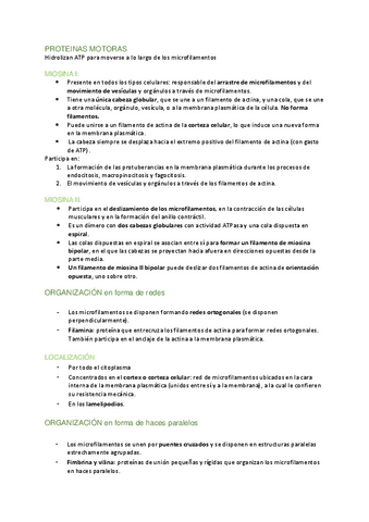 CITOESQUELETO-II.pdf