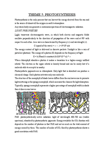 Theme-5.pdf