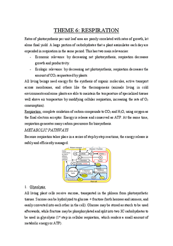 Theme-6.pdf