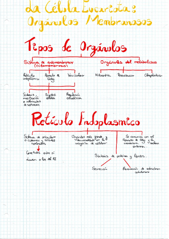 ORGÁNULOS MEMBRANOSOS.pdf