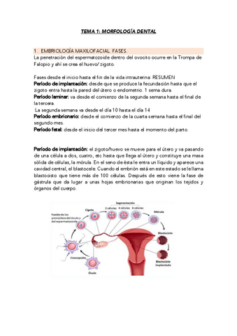 TEMA-1-ECO.pdf