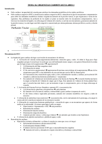 TEMA-16-URGENCIAS.pdf