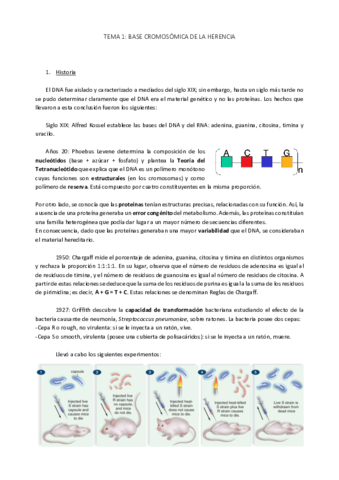 1.Base cromosómica de la herencia.pdf