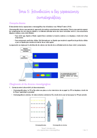 Tema-5-apuntes-TIB-analitica.pdf