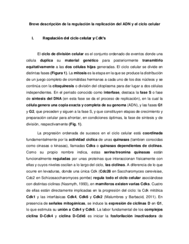 Control-genetico-de-la-replicacion.pdf