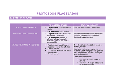 PROTOZOOS-FLAGELADOS-resumen.pdf