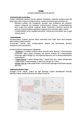 Micro-3.gaiateoria.pdf