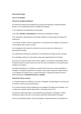 Tema 12 El Despido.pdf