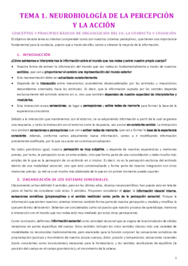 PERCEPCIÓN Y ACCIÓN.pdf