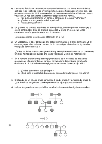 Sandra-Alaman-Alegre-Problemas-de-repaso-GENETICA-PARA-GLOBAL.pdf