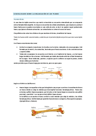 TEMA-INTRODUCCION-Parte-II.pdf