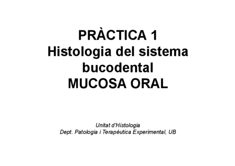 MucosaoralSBDprA-ctiques.pdf