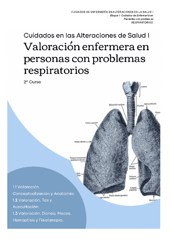 VALORACION-ENFERMERA-EN-PROBLEMAS-RESPIRATORIOS.pdf