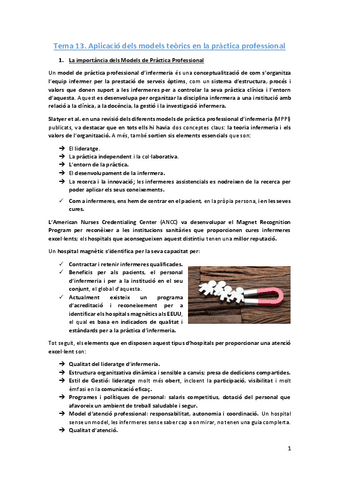 Tema-13-Aplicacio-dels-models-teorics-en-la-practica-professional.pdf