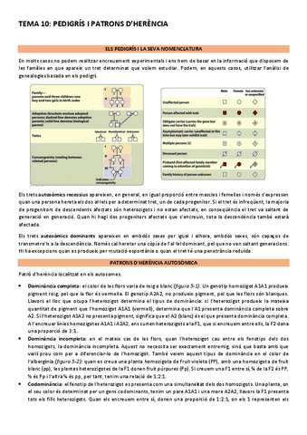 Genetica-2n-parcial.pdf