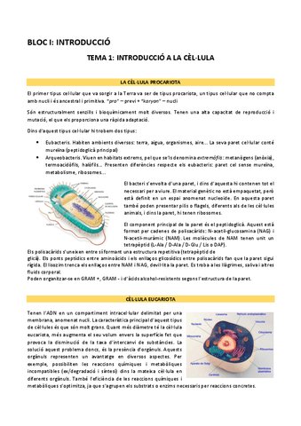 biologiacelular-1r-parcial.pdf