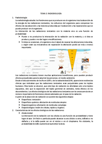 TEMA-3.pdf