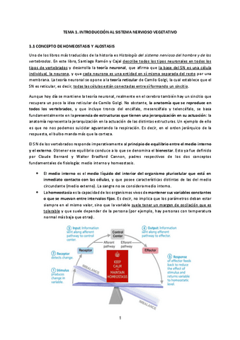 Tema-1-Introduccion-al-SNV.pdf