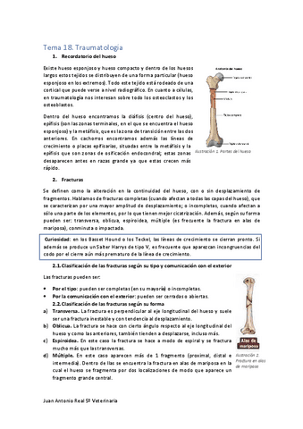 Tema-18.pdf