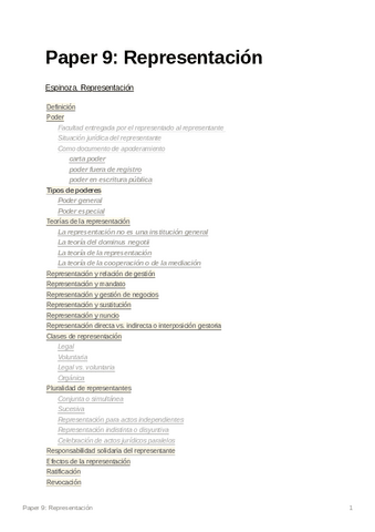 Paper9Representacin-1.pdf