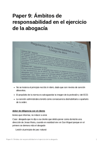 Paper9mbitosderesponsabilidadenelejerciciodelaabogaca.pdf