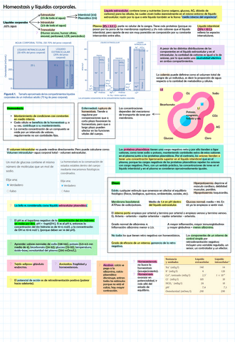 Homeostasis-y-liquidos-corporal.pdf