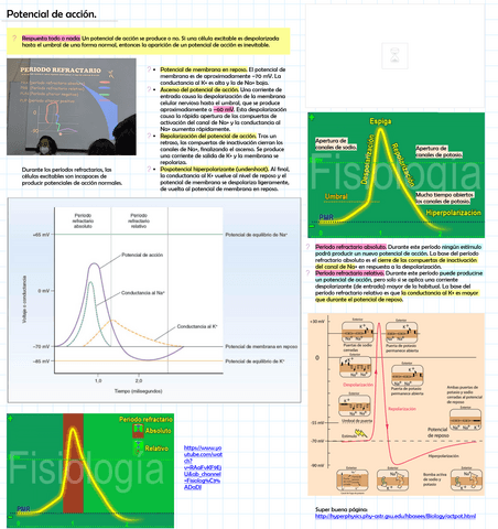 Potencial-de-accion.pdf