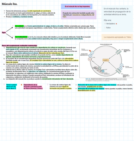 Musculo-liso.pdf