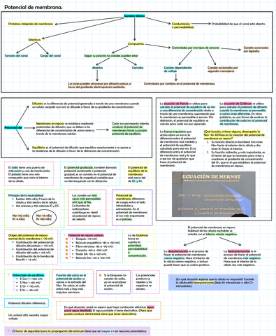 Potencial-de-membrana.pdf