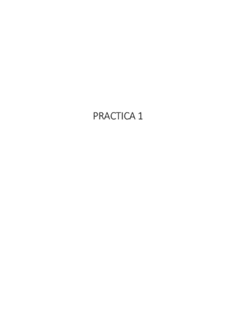 PracticasCompletas.pdf