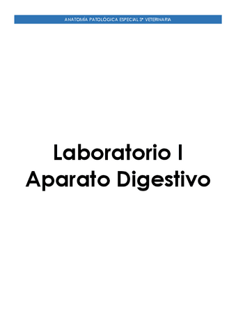 Laboratorio-I-Aparato-Digestivo.pdf