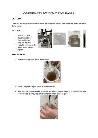 Practica-microorganismes.pdf