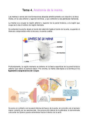 La-glandula-mamaria.pdf