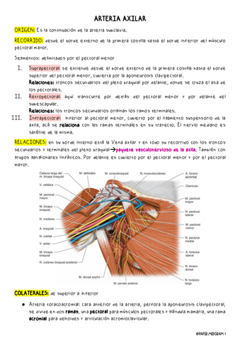 cavidad-axilar.pdf