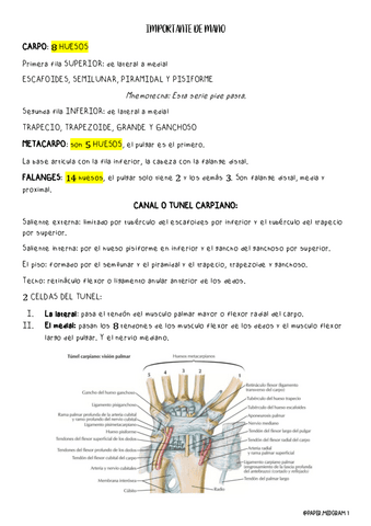 IMPORTANTE-DE-MANO.pdf