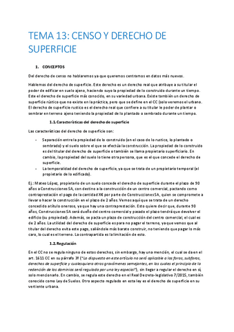 TEMA-13-CIVIL-II.pdf