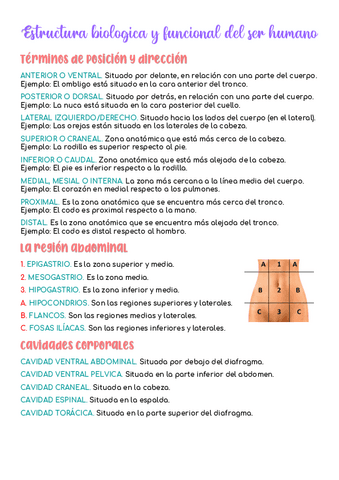 Resumen-1o-trimestre-TBE.pdf