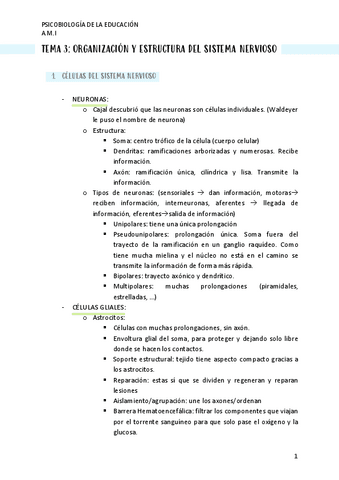 TEMA-3.pdf
