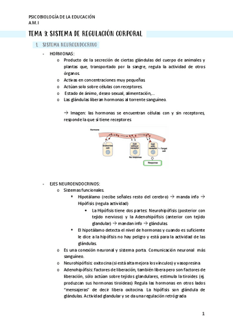 TEMA-9.pdf
