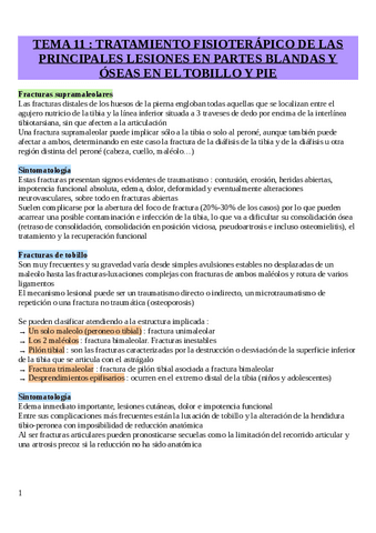 Tema-11-Lesiones-de-tobillo-y-pie.pdf
