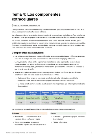Tema4Loscomponentesextracelulares.pdf