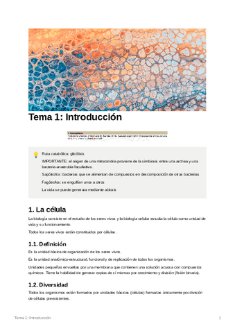 Tema1Introduccin.pdf