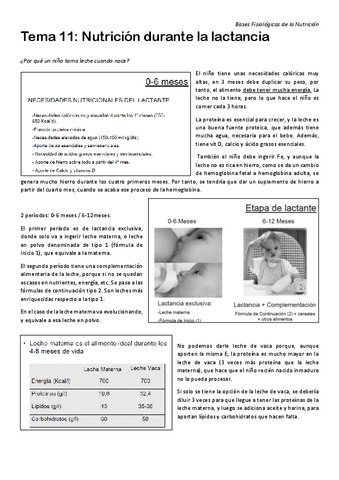 Tema-11-Lactancia-H.pdf